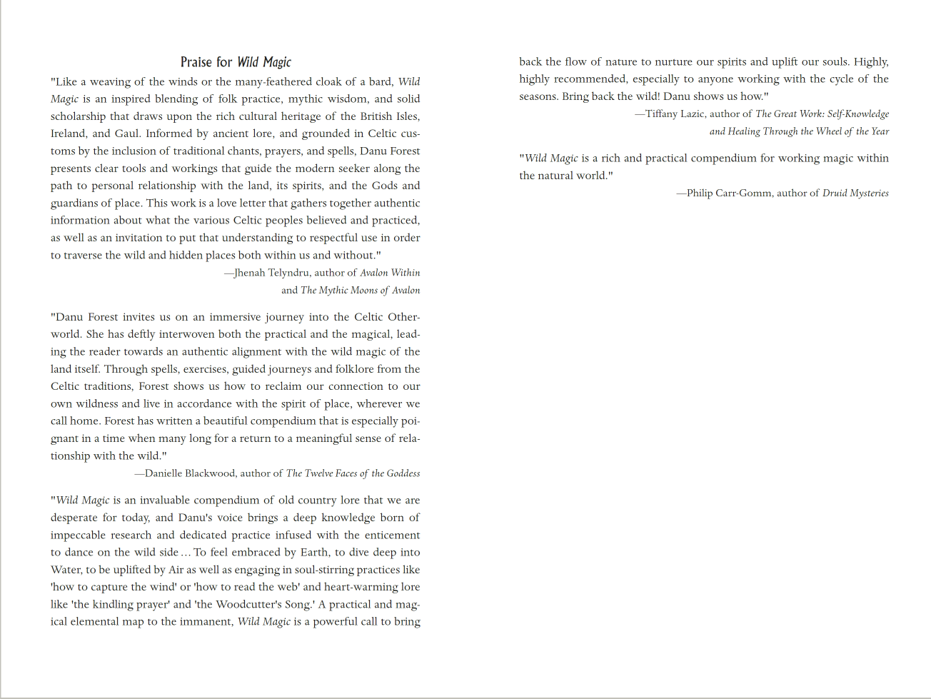 Cardshouse - Wholesale Body, mind and spirit - Wild Magic Book Llewellyn1