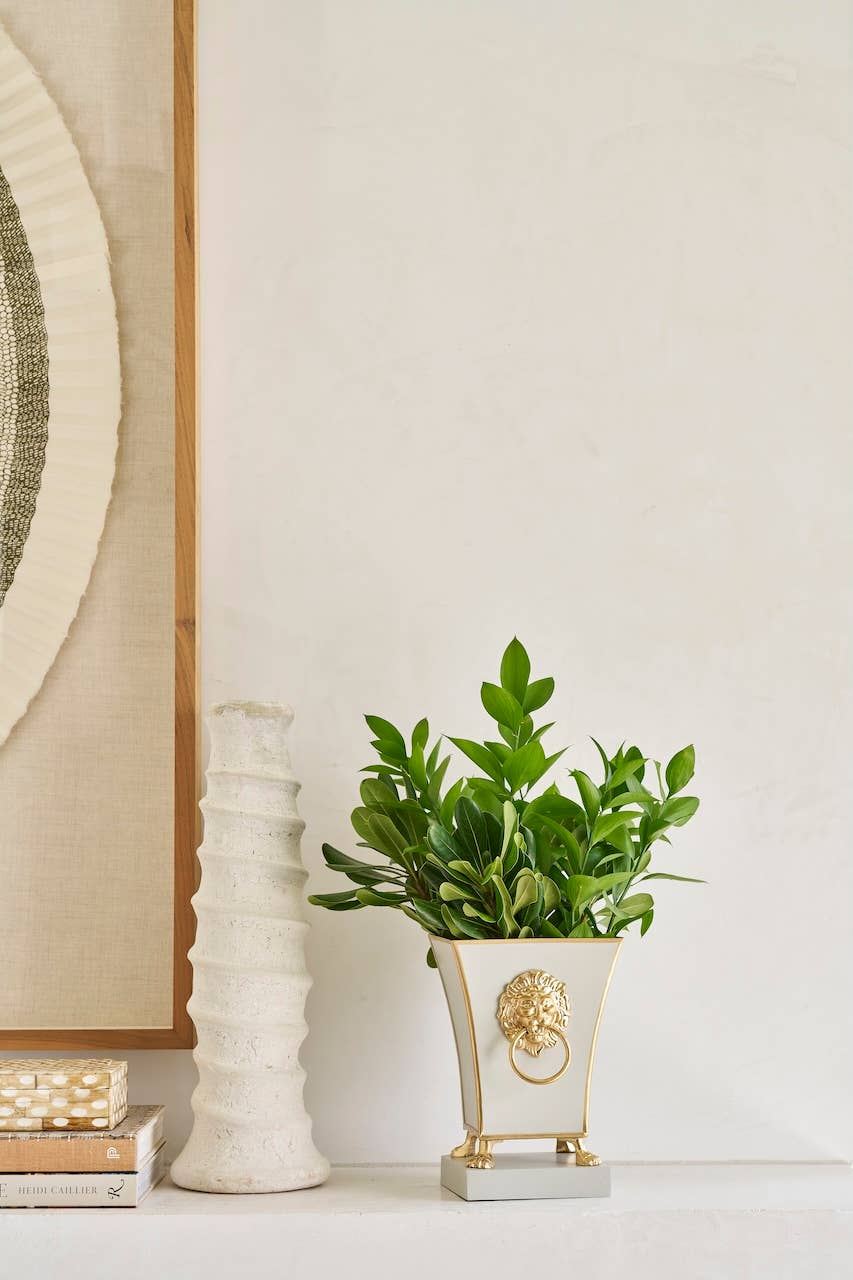 Jaye's Studio - Wholesale Plant Pot - Paws & Claws Fluted Square Cachepot Planter7