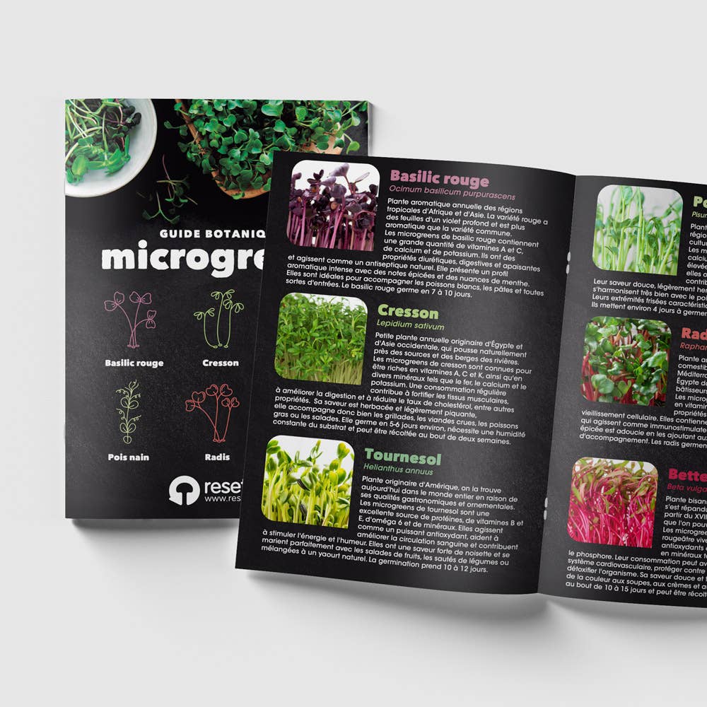 Resetea – wholesale Plant seeds – Microgreens Self-Growing Kit🌱4