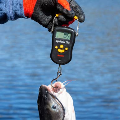 Smiths - Wholesale Sporting Accessories - Digital 50lb Fish Scale