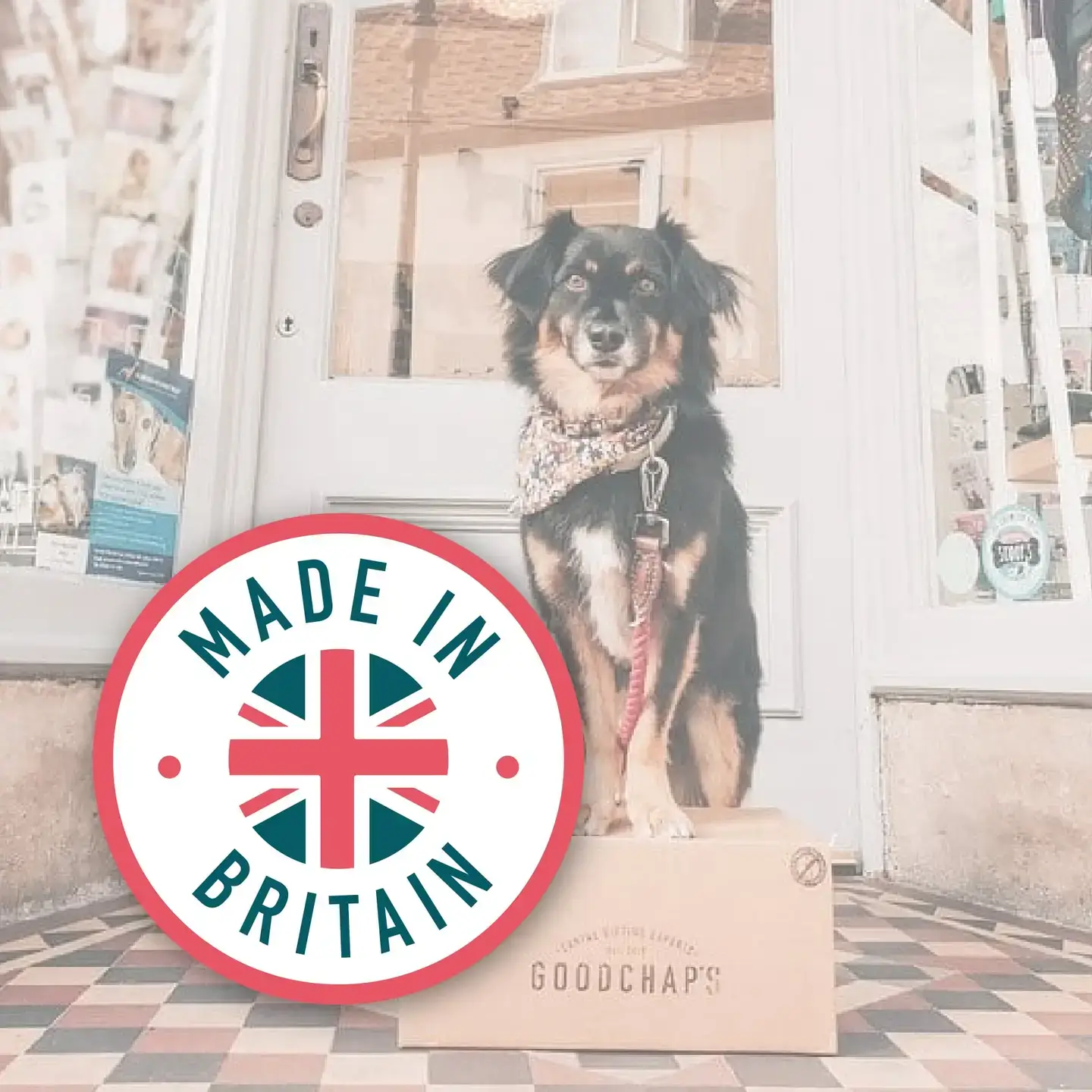 Goodchap's – wholesale Pet treats – Dog – Lil' Scamp's Fish Bites | CDU of 10 Packs 7