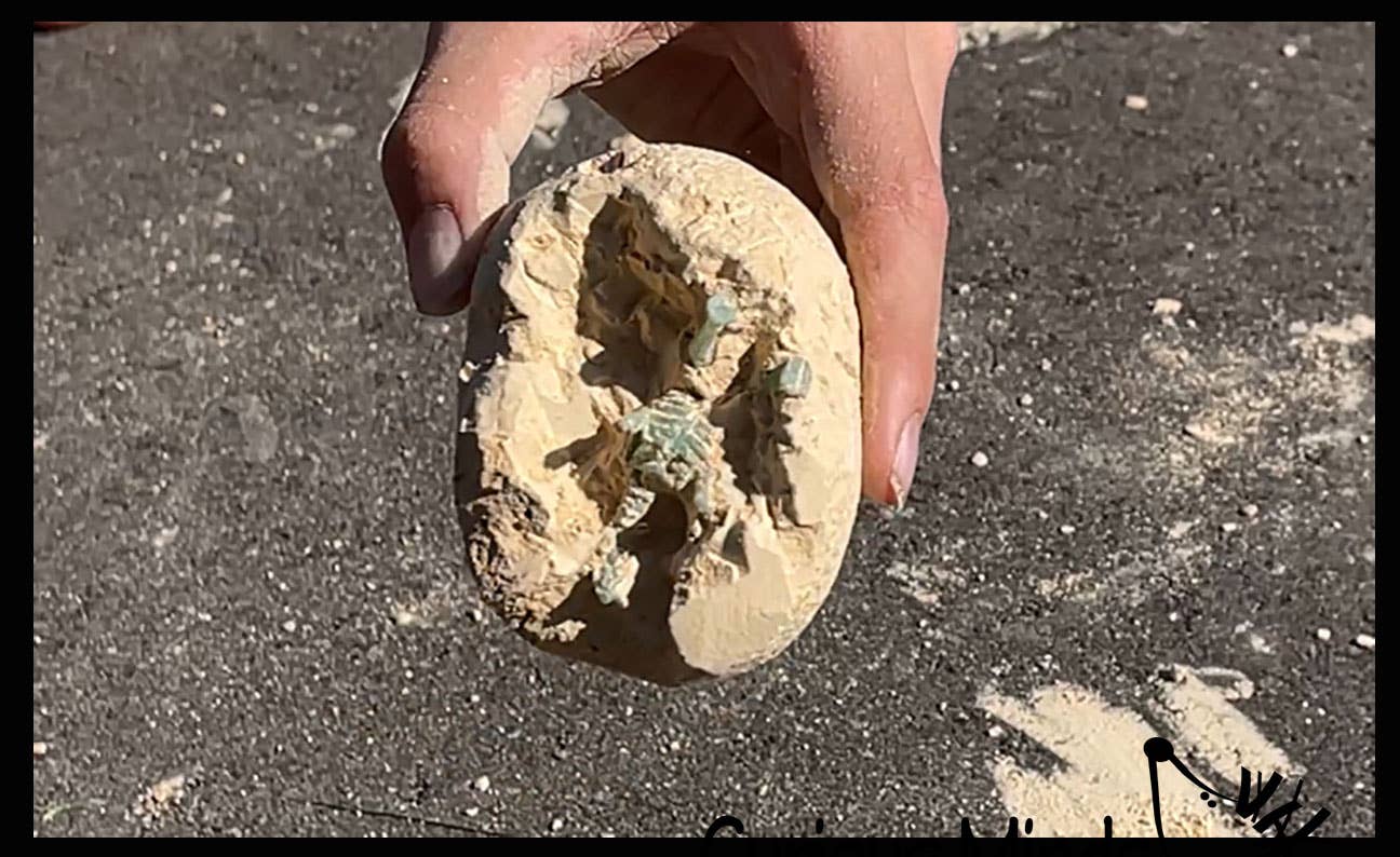 Curious Minds Toys – wholesale Figurleksak - Barn – 1 Dinosaur Fossil Excavation Gräv ägg - Upptäck Dino Fossil 7