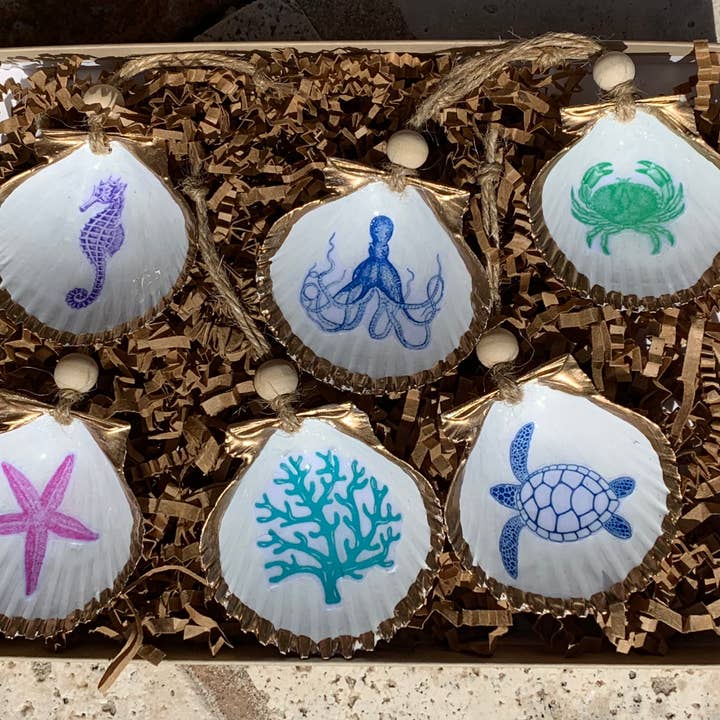 Sea Creatures Mini Shell 6 pk for wholesale by DogFish Design 13