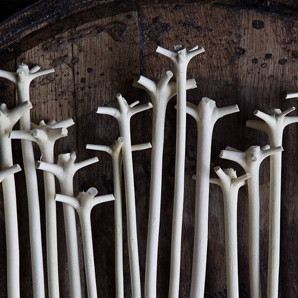 Cocktail Kingdom – Engroshandel Omrører til drikkevarer – Swizzle Stick1