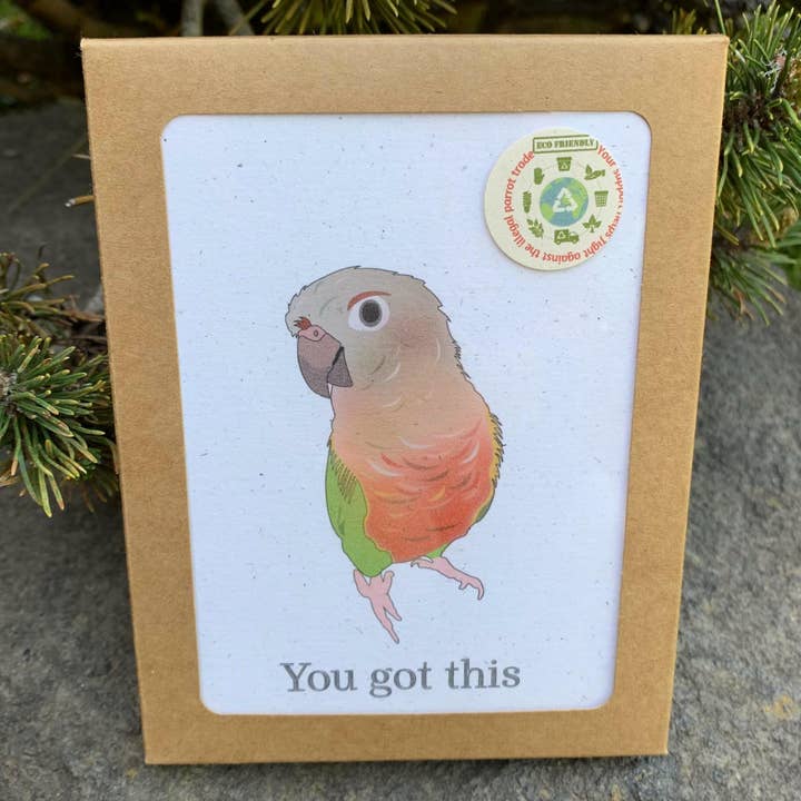 Você tem este conjunto de 6 cartas | Cartas de Incentivo Variadas | Pássaros por atacado de Hakuna Matata Vibes