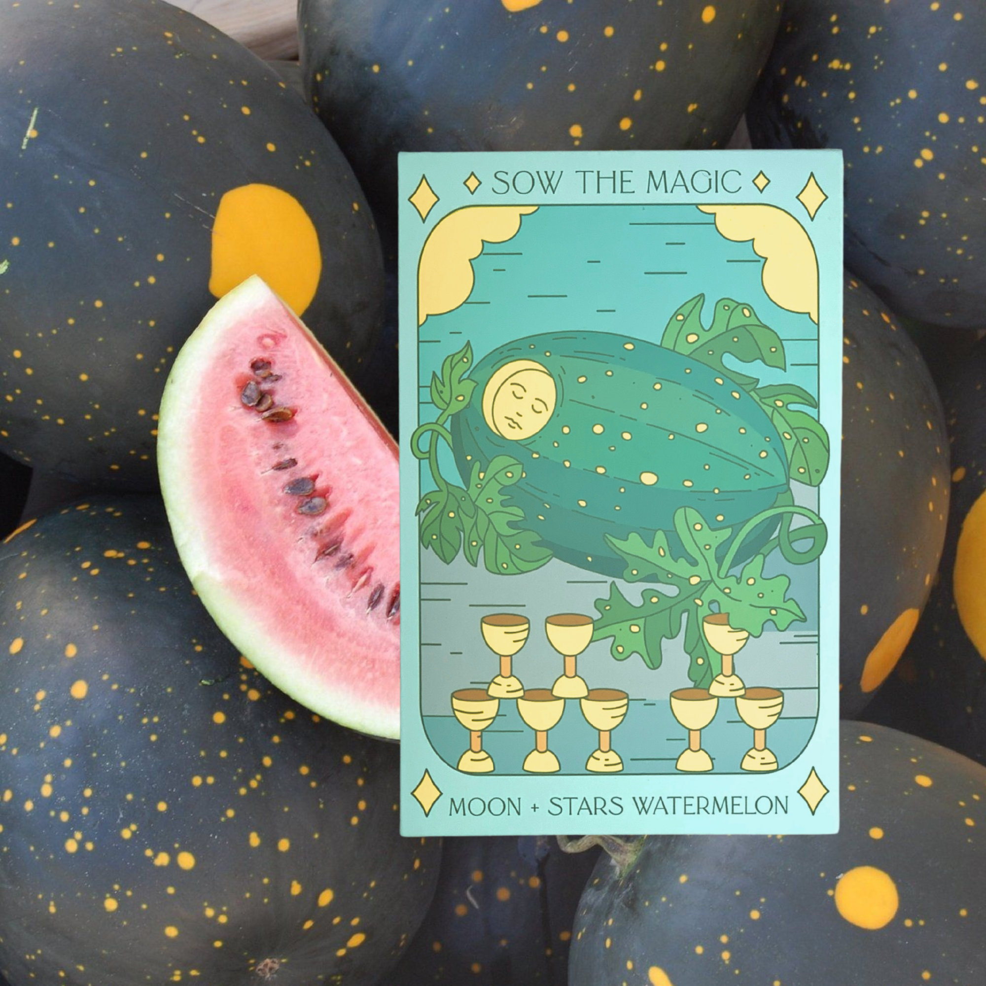 Sow the Magic - Wholesale Plant Seeds - Moon and Stars Watermelon Tarot Seed Packet6