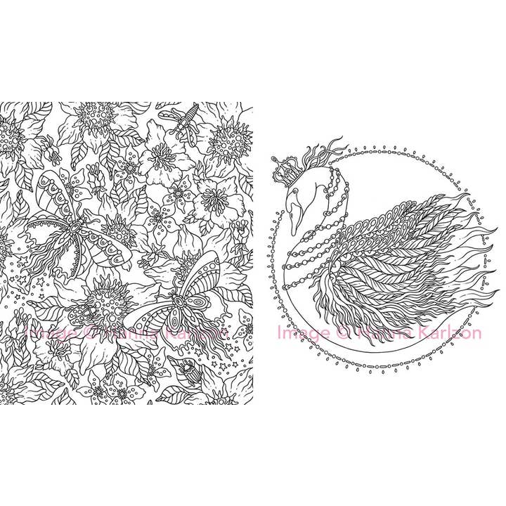Gibbs Smith - Wholesale Coloring Book - Adult - Magical Dawn Coloring Book