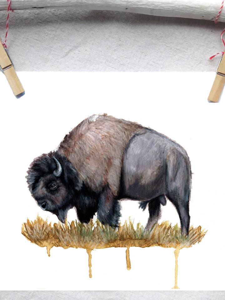 Imprimé artistique Mammifère Bison pour la vente par Lindsey Munson