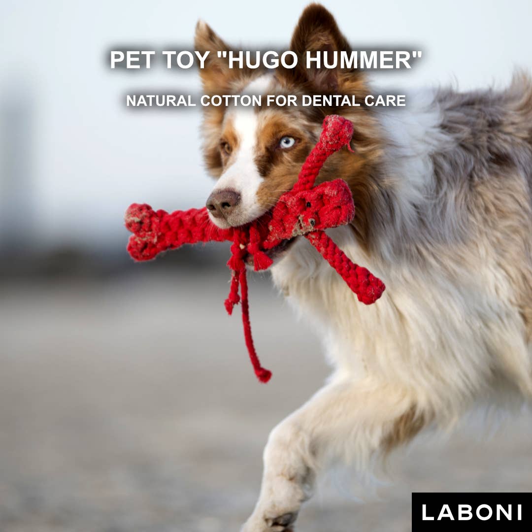 LABONI - Volentis GmbH - Vendita all'ingrosso Giocattolo di corda - Cani - Hugo Hummer4