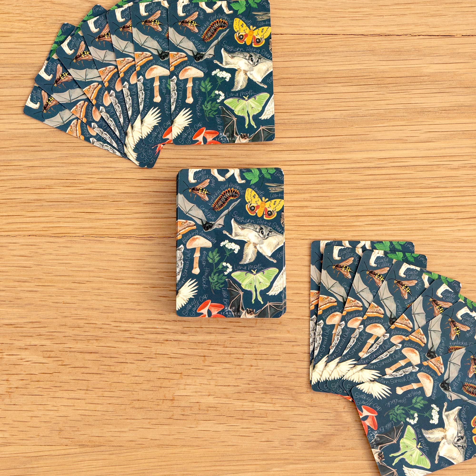 1canoe2 | One Canoe Two Paper Co. – wholesale Spelkort – Midnight Flora & Fauna Kortlek3