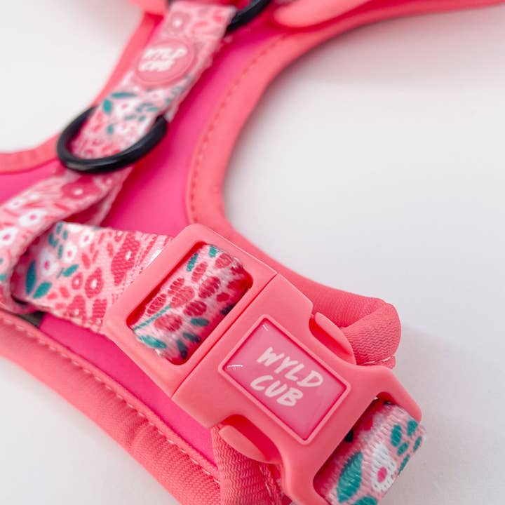 WYLD CUB - Wholesale Pet Harness - Dog - Adjustable Dog Harness: Notting Hill Rosé12
