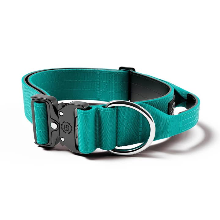 5cm Combat® Collar | Rated Clip - NO HANDLE - Turquoise v2.0 for wholesale by BullyBillows Ltd