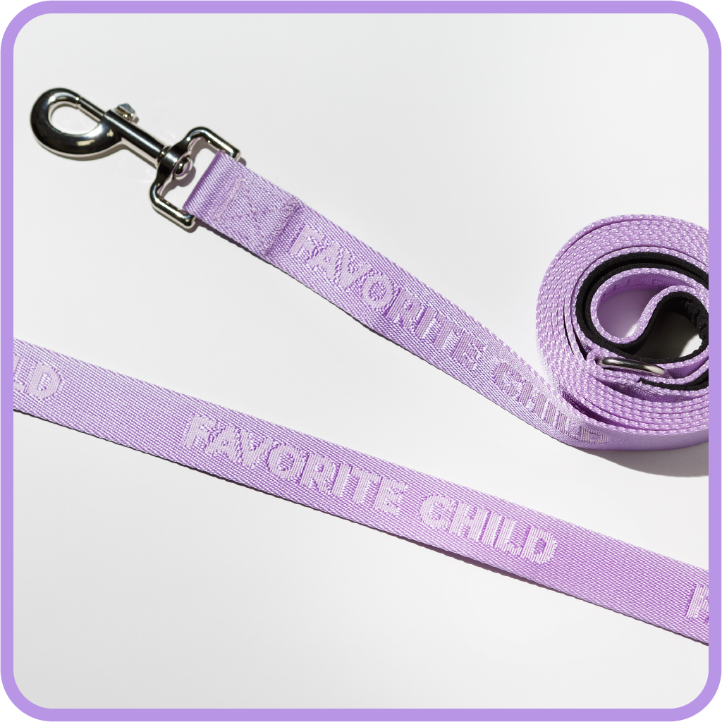 Pretty Alright Goods - Wholesale Pet Leash - Dog - Favorite Child Lavender - Dog Leash0