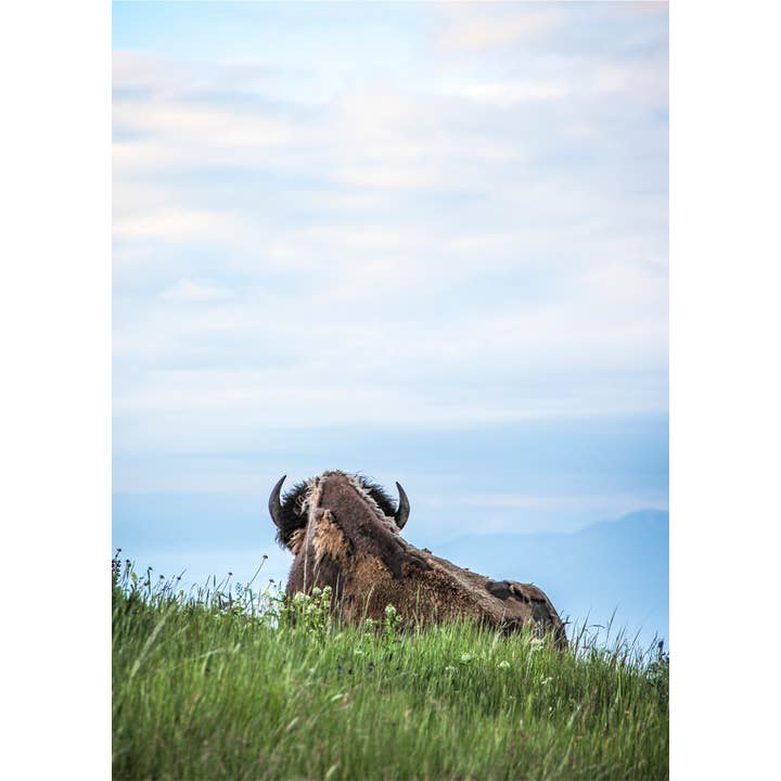 Spring Coat for engroshandel hos Laurie Childs Photography