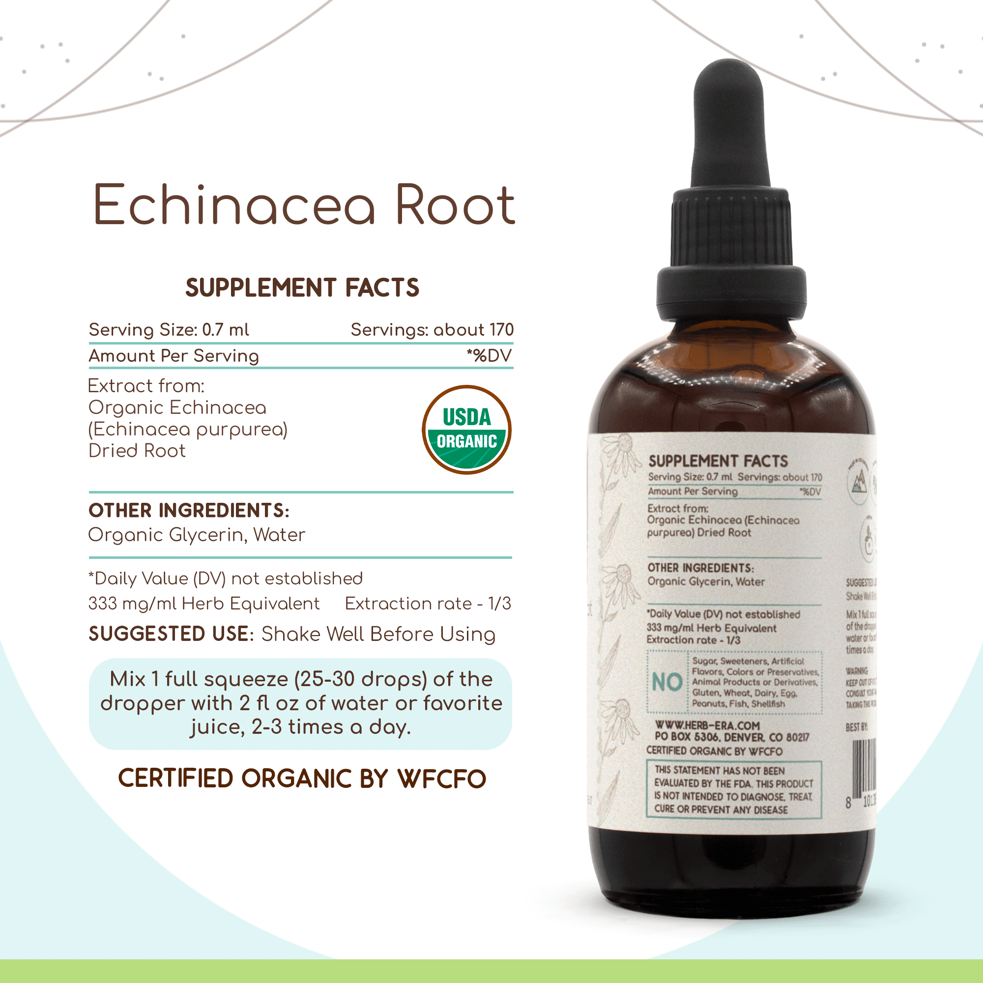 HerbEra - Wholesale Tincture - Echinacea Root Tincture3