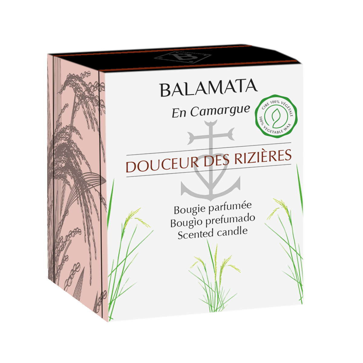 REMOVED BRAND - Vendita all'ingrosso Candela in vasetto - Doucer Des Rizières - Candela Profumata 80 g - In Camargue2