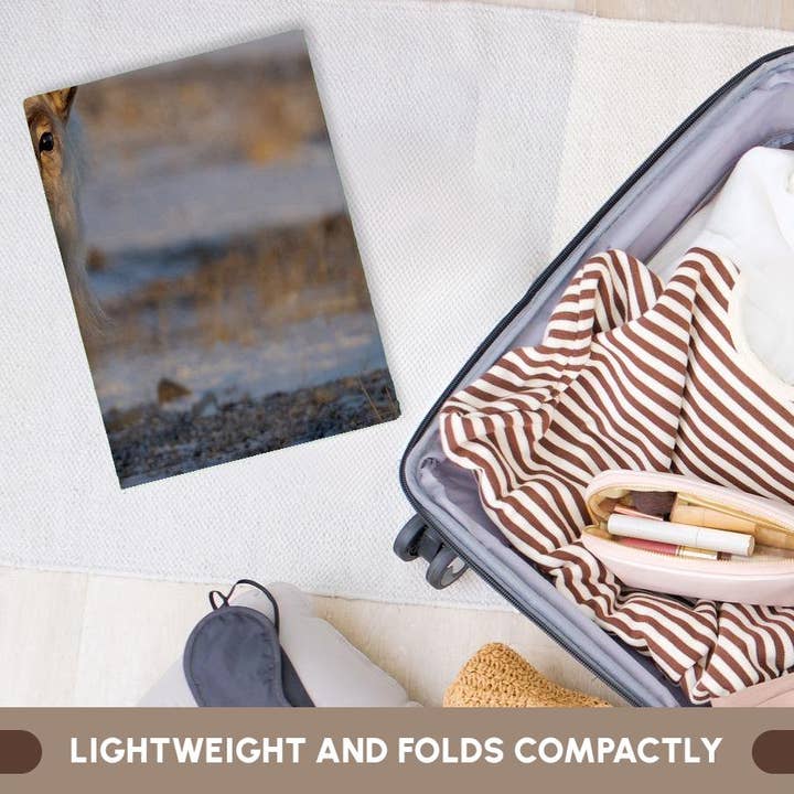 3dRose - Wholesale Bath Towel - 3dRose, Female Svalbard Reindeer near Pyramiden, Polar Regions, Arctic. 2, Towel5