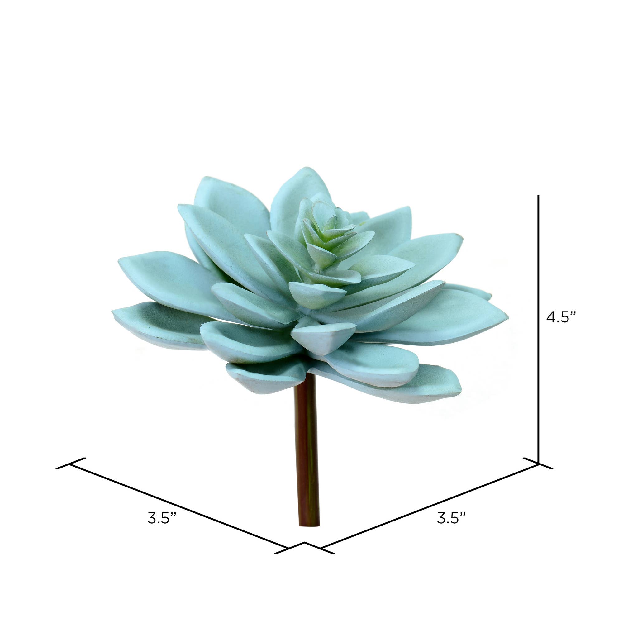 Green Vickerman 4.5" Grn Graptoveria Titubans Pick 3/pk for wholesale on Faire1