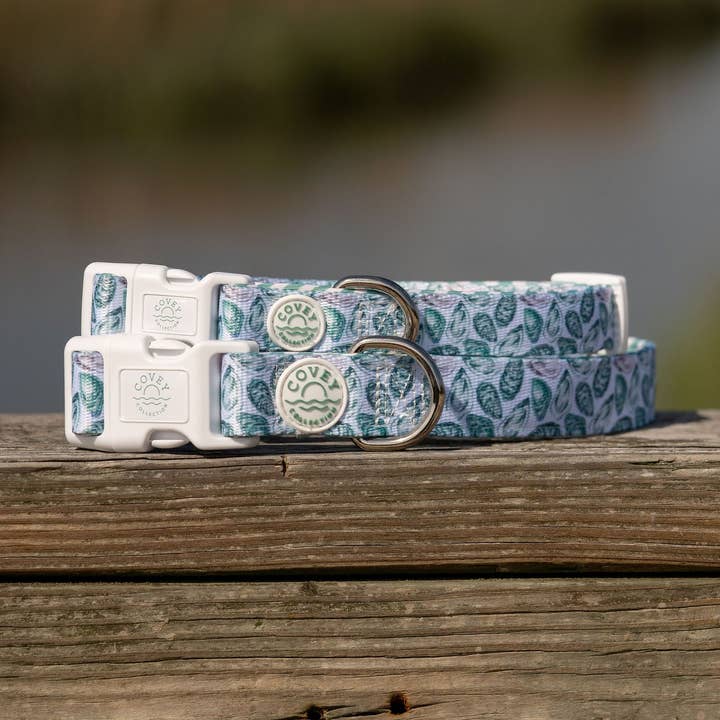 Green Oyster Dog Collar for wholesale by Covey Collection