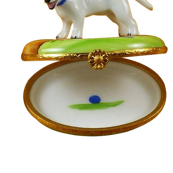 Rochard - Wholesale Decorative Box - Bull Terrier1