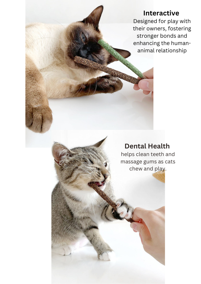 CATWANT - Venta al por mayor Juguete - Gatos - Palitos de galletas Silvervine Gall Fruit o Catnip, 8 unidades1