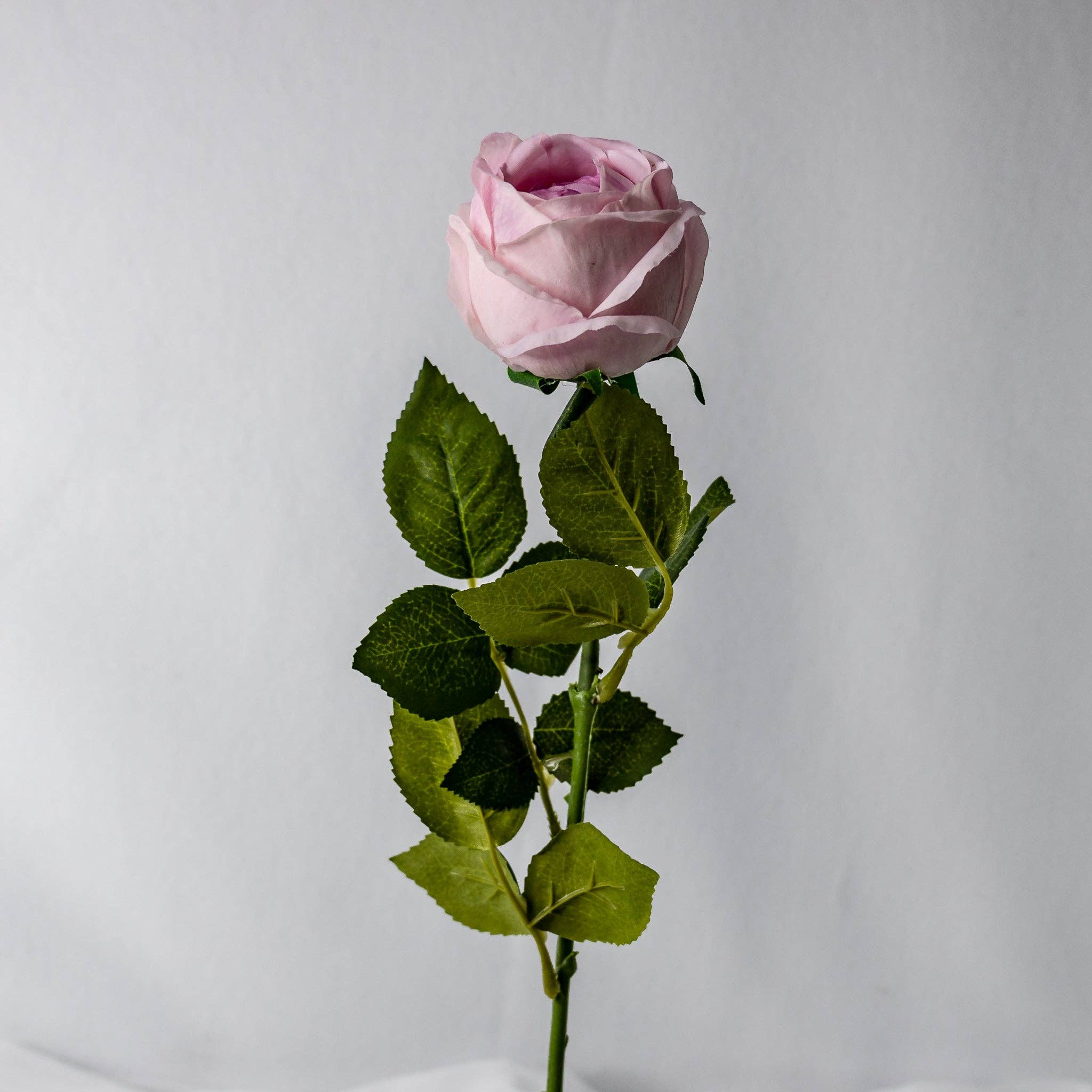 Realistic Artificial Flowers - Vendita all'ingrosso Fiori finti - Rosa vintage David Austin Real Touch, lilla, con bocciolo aperto3