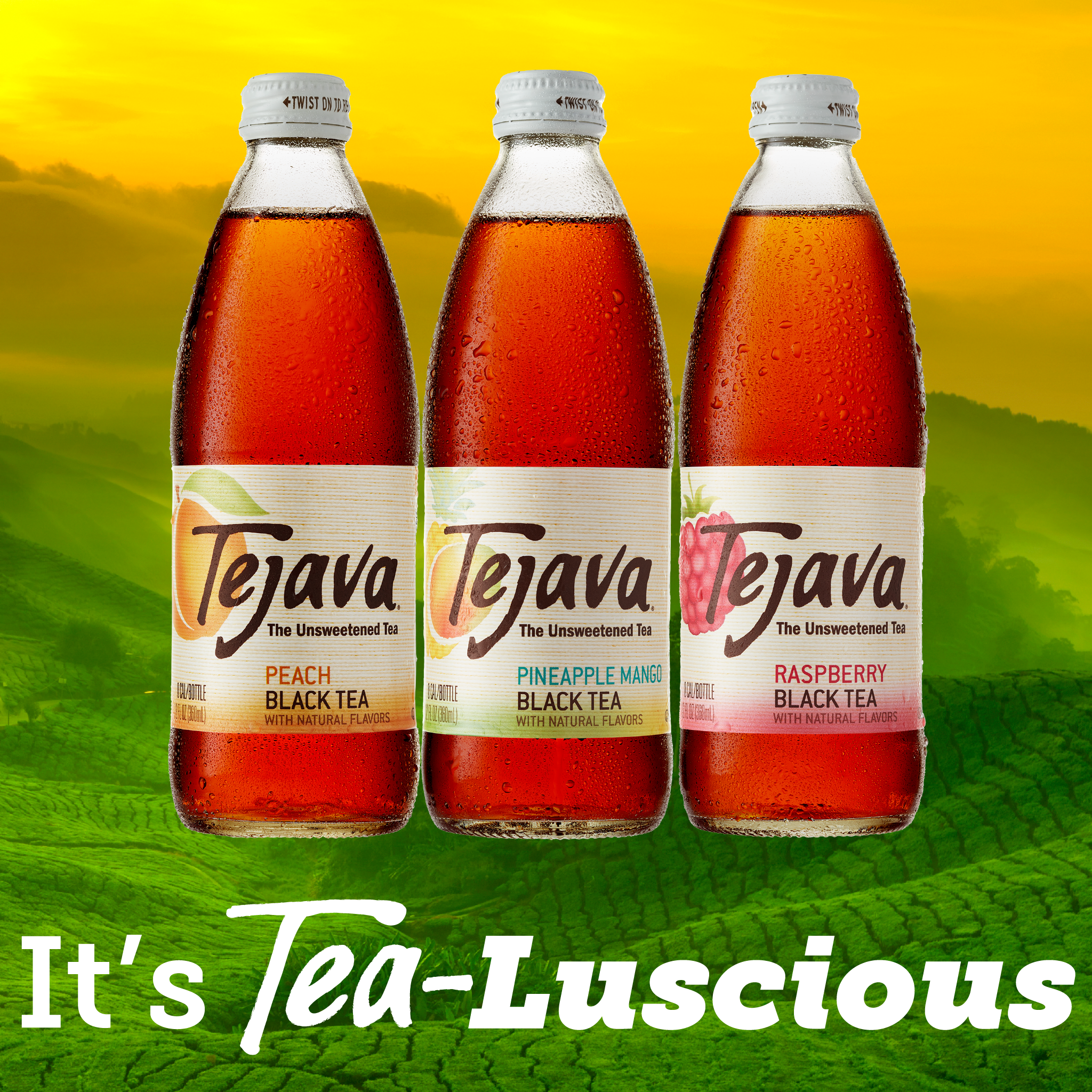 Crystal Geyser Water Company - Wholesale Iced Tea - Tejava Variety Pack - Peach, Raspberry and Pineapple-Mango1