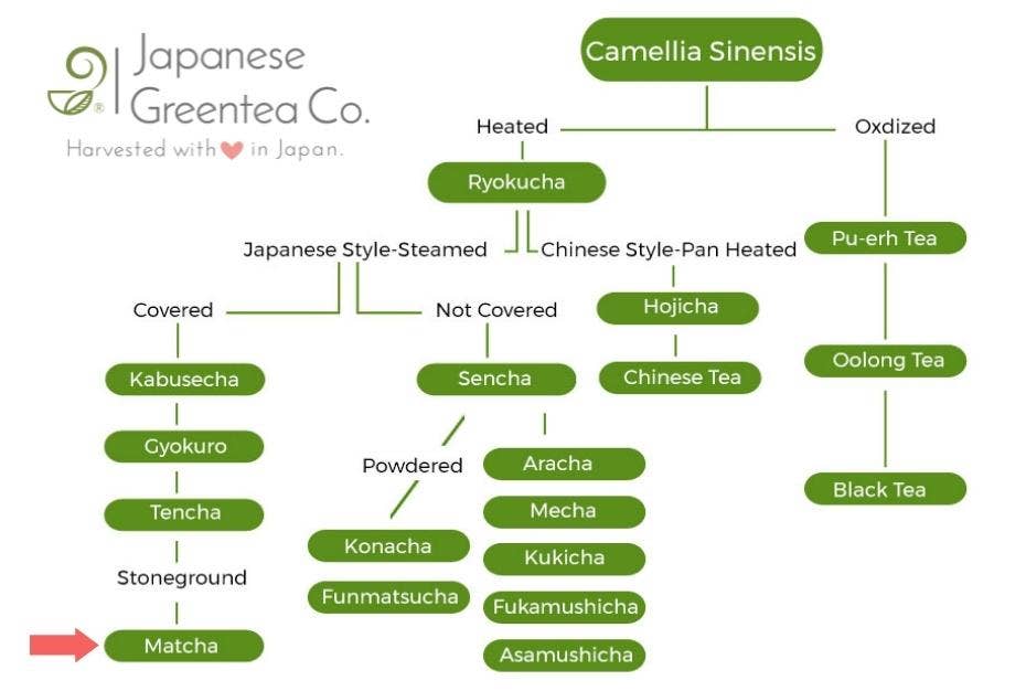 Japanese Green Tea Co. - Wholesale Health/Detox Tea - Premium Japanese Powdered Green Tea - Matcha (1.8 oz)12