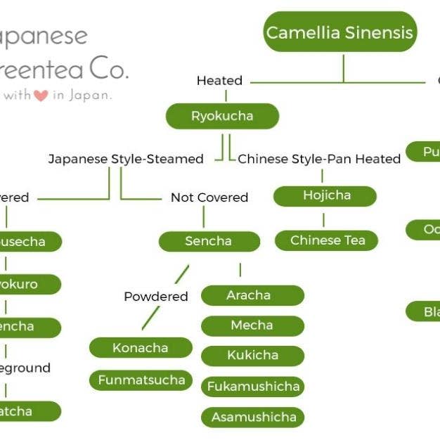 Japanese Green Tea Co. - Wholesale Health/Detox Tea - Premium Japanese Powdered Green Tea - Matcha (1kg)9