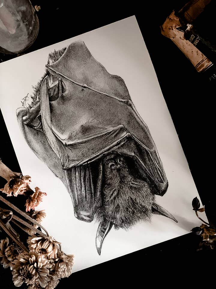 Sleeping Bat Art Print | spooky | dark decor | Halloween for wholesale by House of Hex