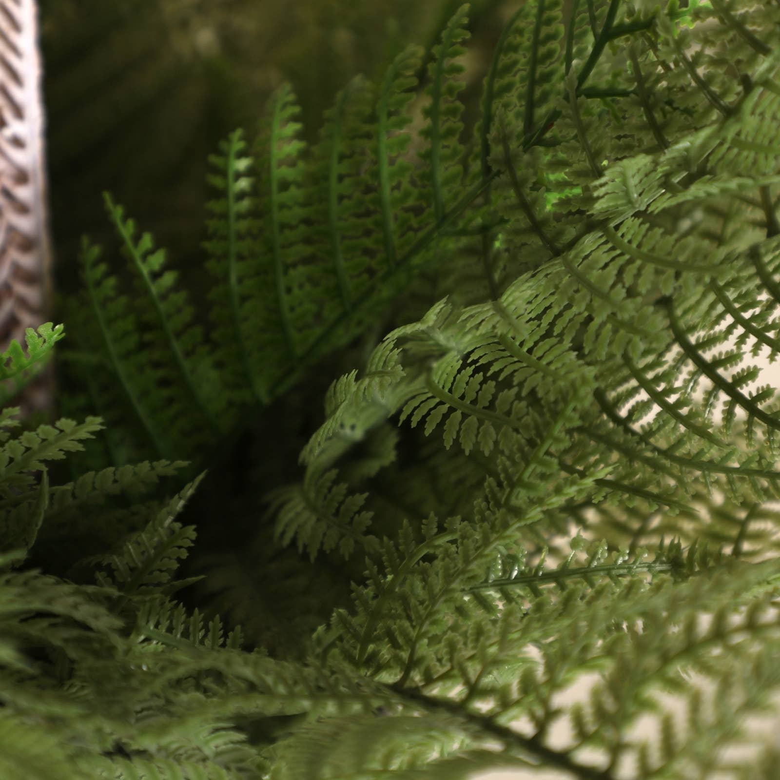 B&B - Vente Pot - Plante Herbe Prise En Plastique Vert 55X55X45cm2