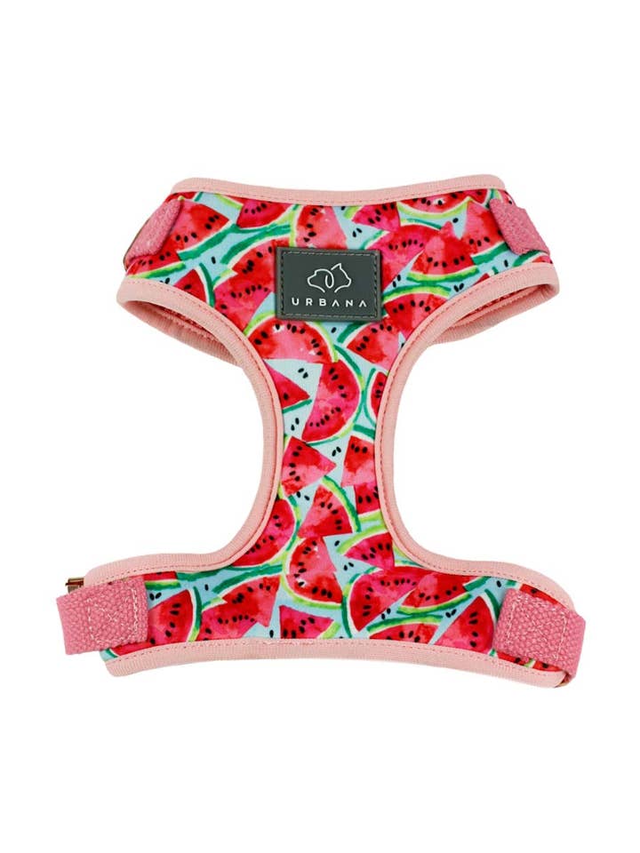 Neoprene Watermelon Dog Harness for wholesale by Urbana Pet Boutique
