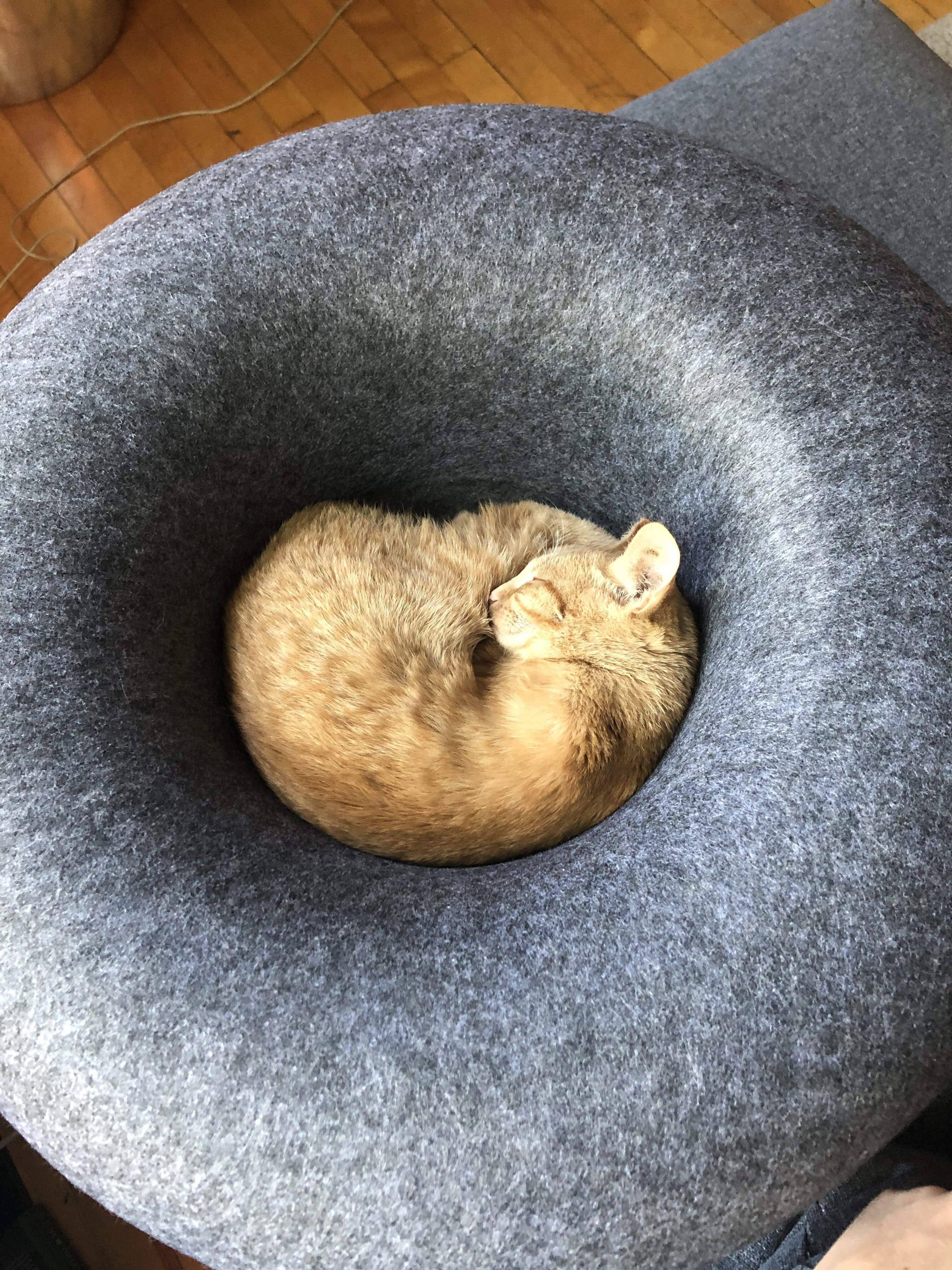 Travel Cat Wholesale - Wholesale Pet Bed - Cat - "Donut!" Cat Hideaway Cave & Bed - Cozy Chic Pet Bed2
