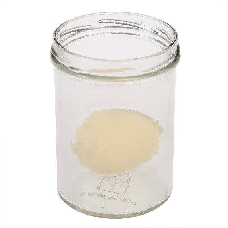 Rex B2B - UK – wholesale Classic toy – Kids – Hatch Your Own Dinosaur Egg3