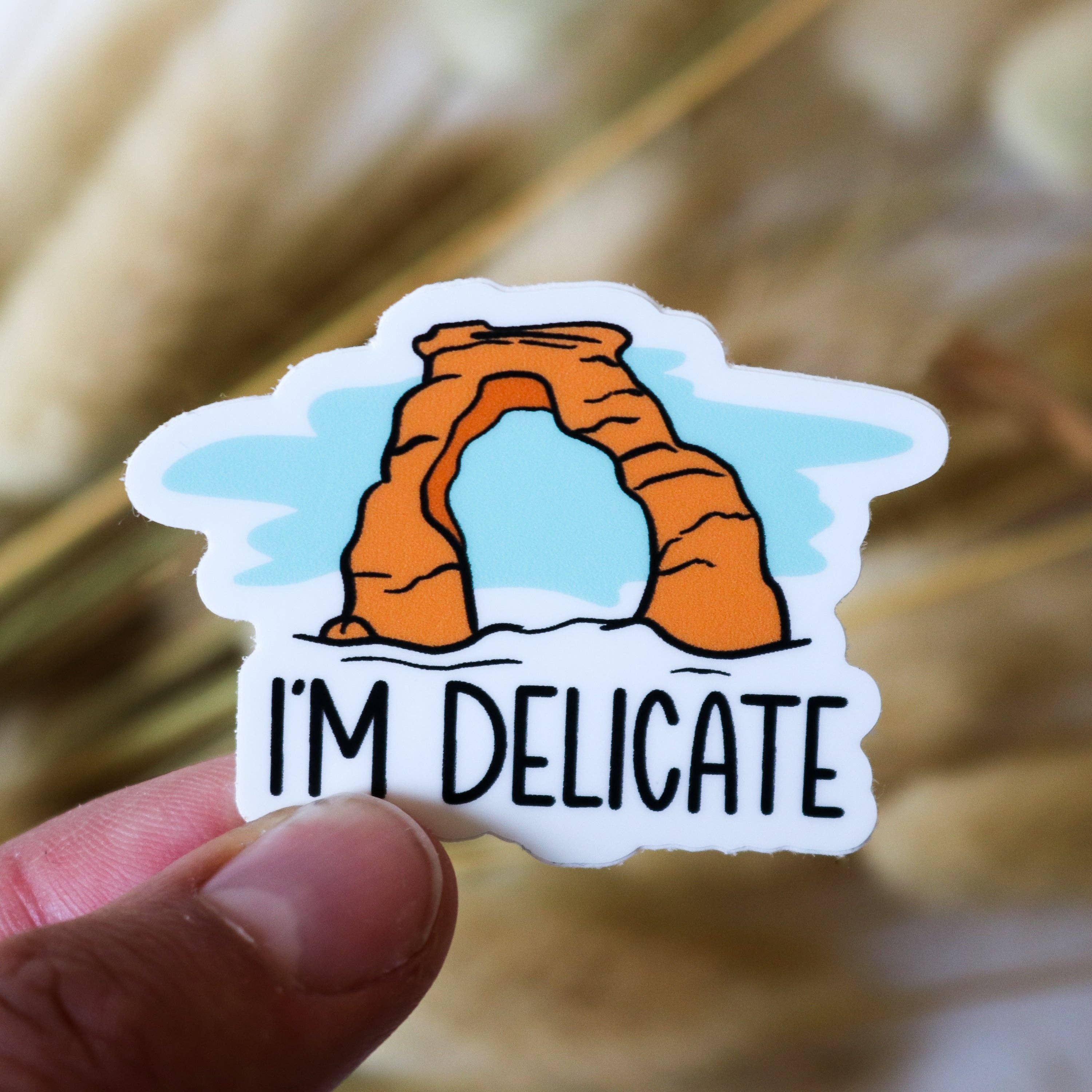 Riley Funk Designs - Wholesale Sticker - I'm Delicate Sticker | Arches National Park Sticker3