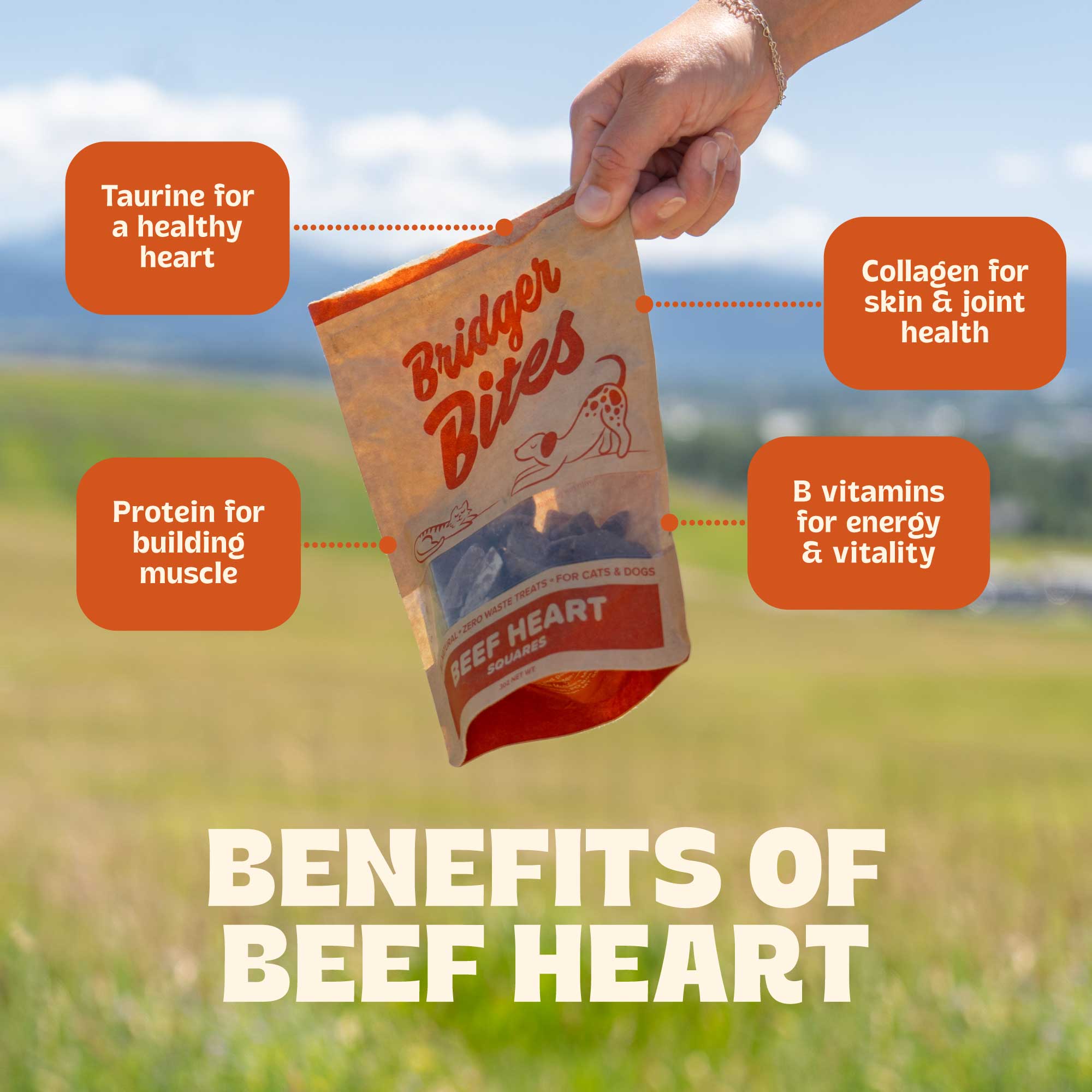 Bridger Bites, LLC - Wholesale Pet Treats - Dog - Freeze-Dried Beef Heart5