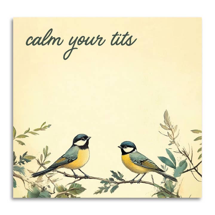 Bad Betty Greeting Co. - Wholesale Sticky Notes - Calm Your Tits - Funny Sarcastic Sticky Note Pad2