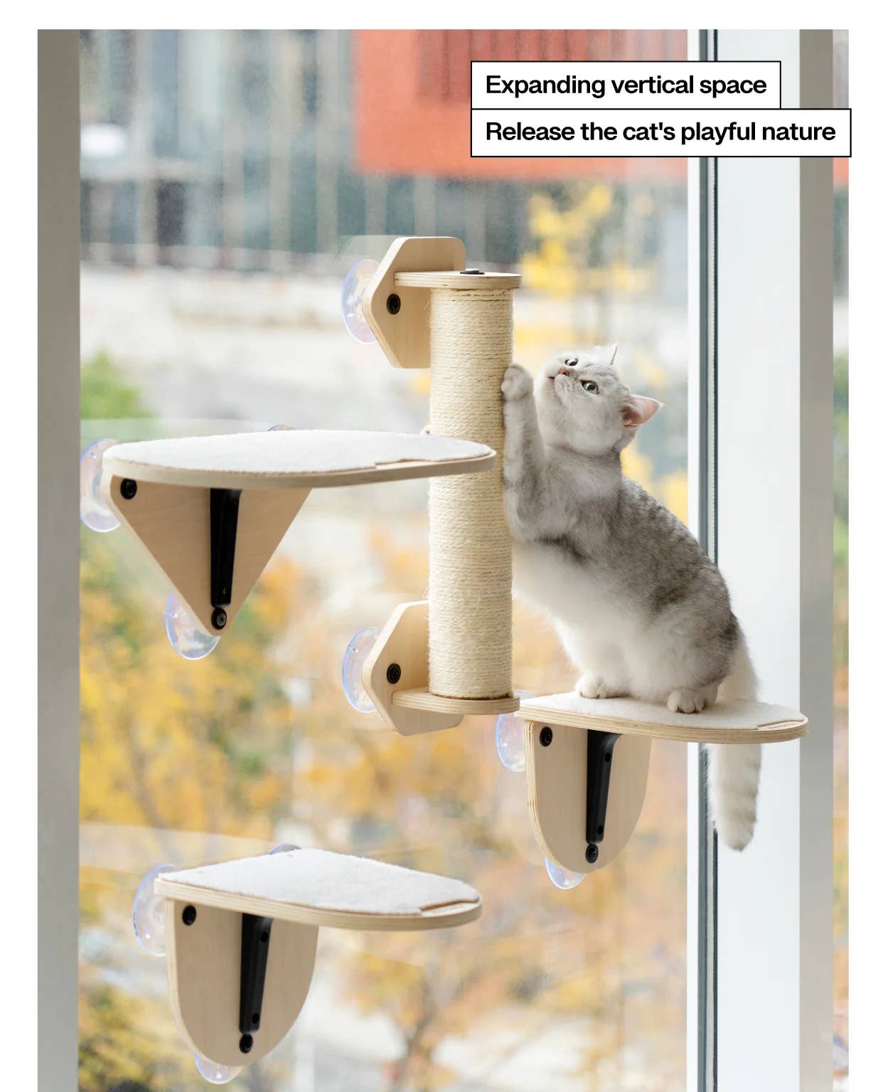 Robud & Mewoofun Official Store - Wholesale Pet Scratcher - Cat - MEWOOFUN Cotton Cat Window Bed Jumping Climbing Platform Cat9