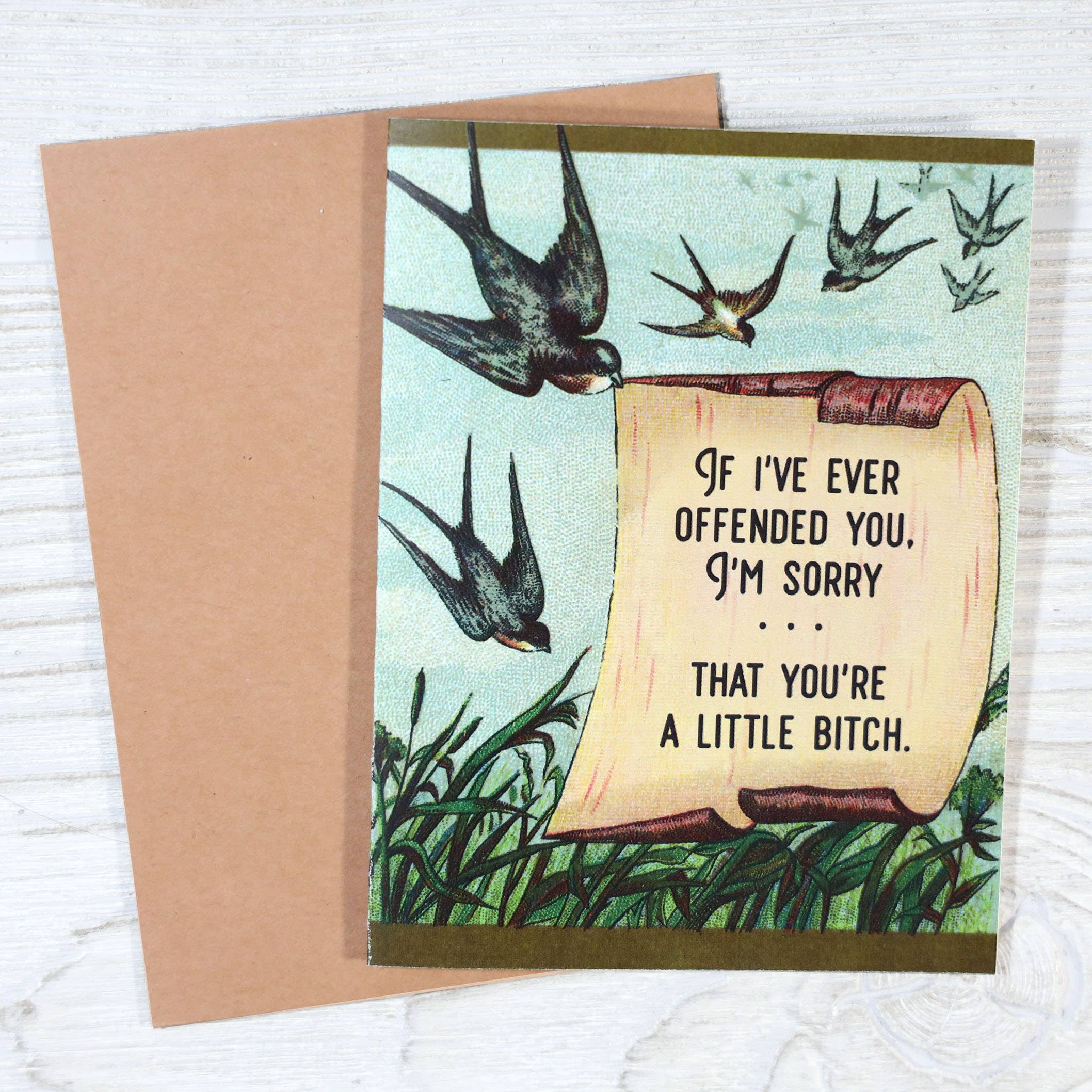 Bad Betty Greeting Co. - Vente Carte de vœux classique - Je suis désolée si tu es offensée (tu es une petite garce)1