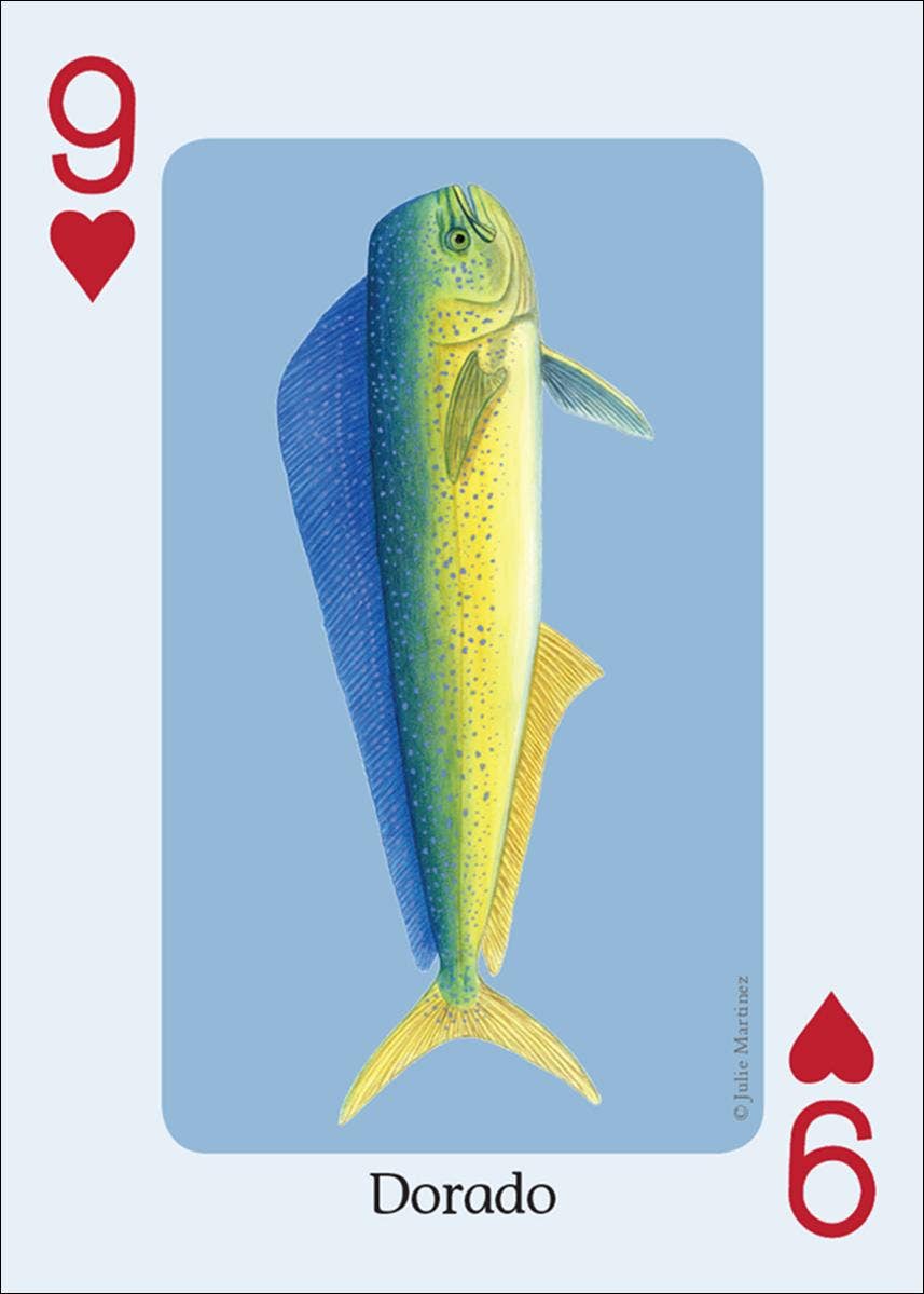 AdventureKEEN - Wholesale Playing Cards - Saltwater Fish of Gulf & Atlantic Playing Cards1