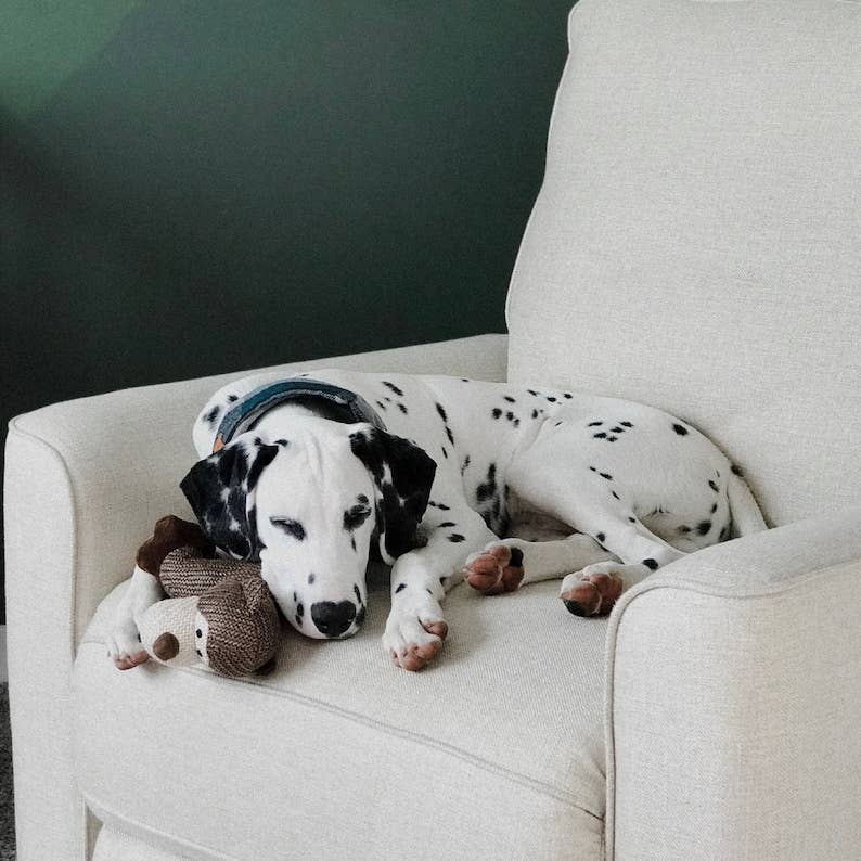 Lily Anne Boutique - Wholesale Pet Plush Toy - Dog - Woven Monkey Dog Toy1