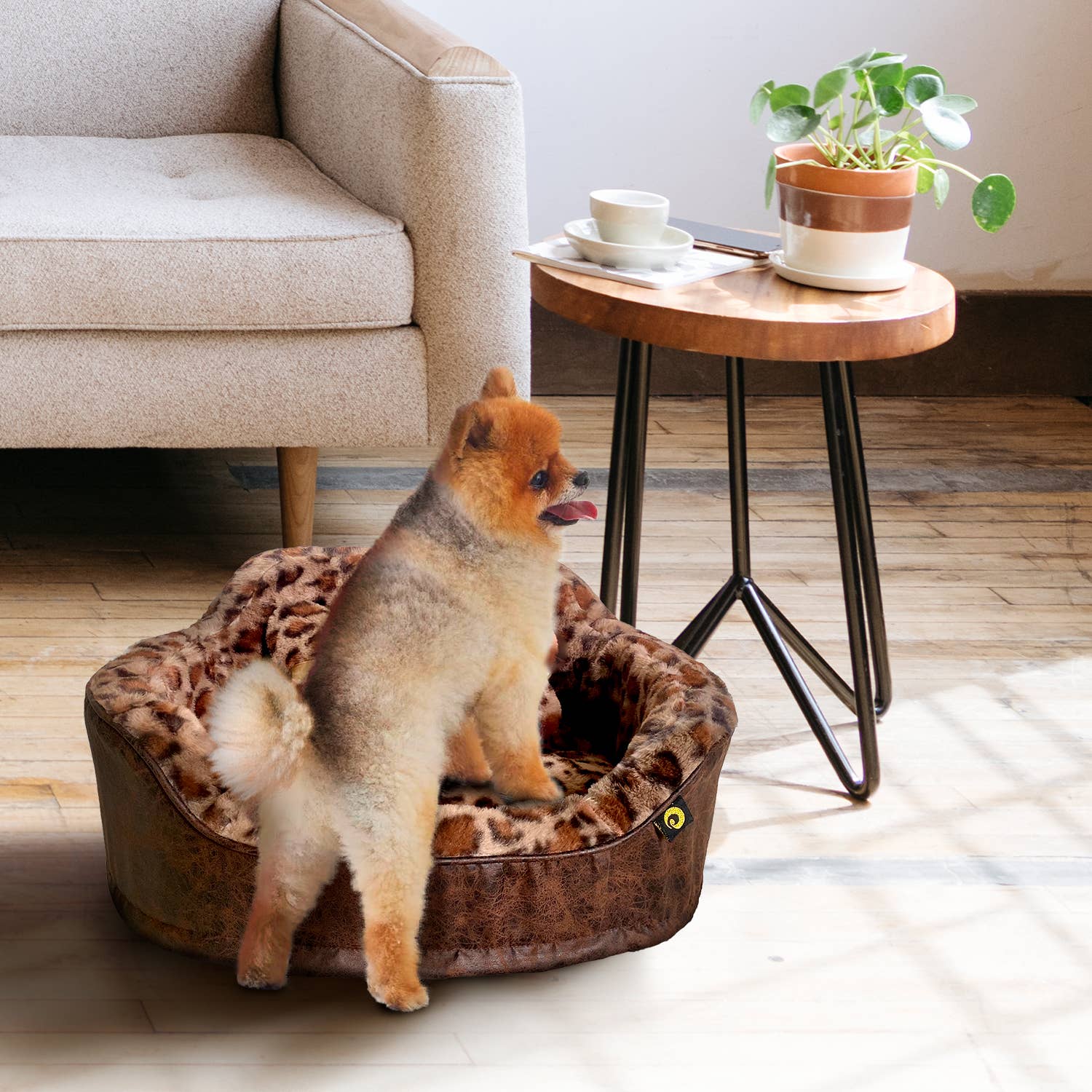 Precious Tails - Wholesale Pet Bed - Cat/Dog - Precious Tails Leopard Princess Bed24