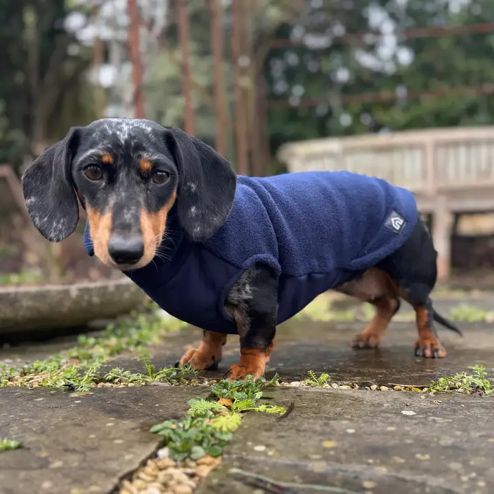 Doghouse – Engroshandel Sweater - Hund – Dachshund fleecetrøje med vandtæt mavepanel1