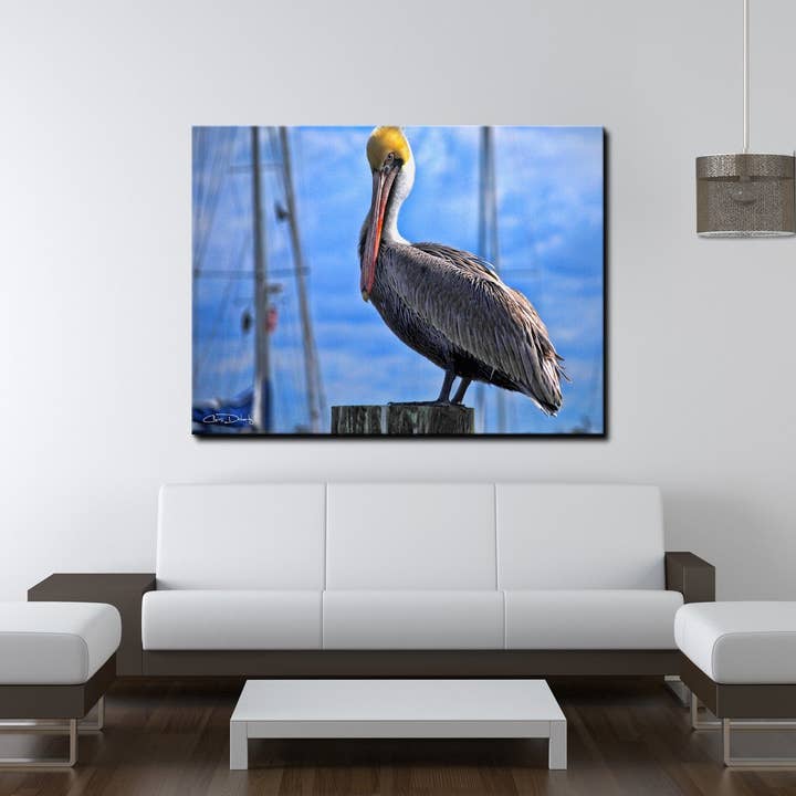 Chris Doherty 'Pelican' Leinwandbild für den Großhandel von Ready2hangart, Inc.