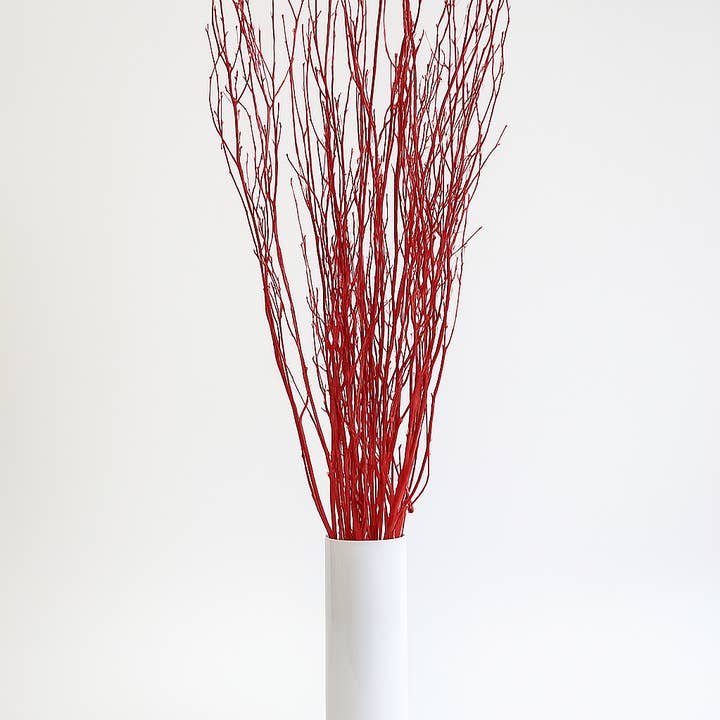 Paquet de 10 branches de bouleau peintes en rouge de 4 pieds pour la vente par GS Foliage