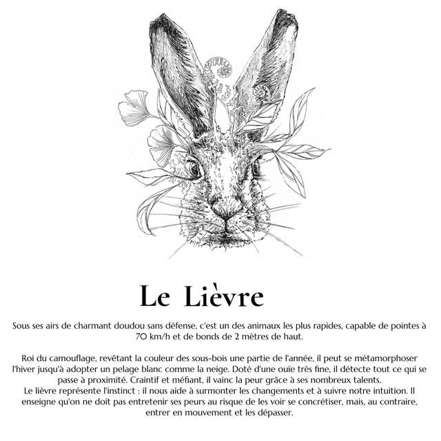 Totem nature - Wholesale Sage Bundle - Organic Smudge Stick - TOTEM Bouquet of the Hare3