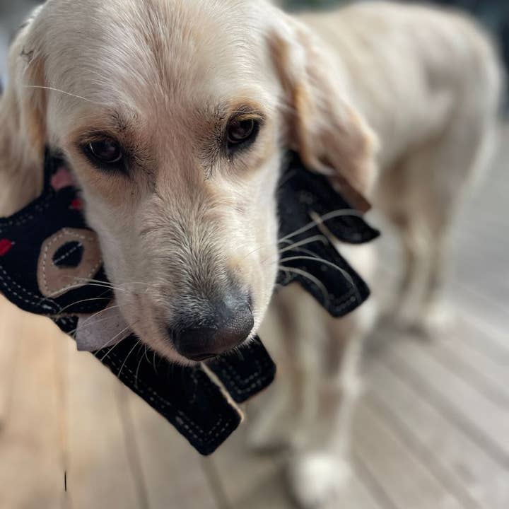 Outback Tails - Wholesale Pet plush toy – Dog - Outback Felt Toy - Tassie Devil3