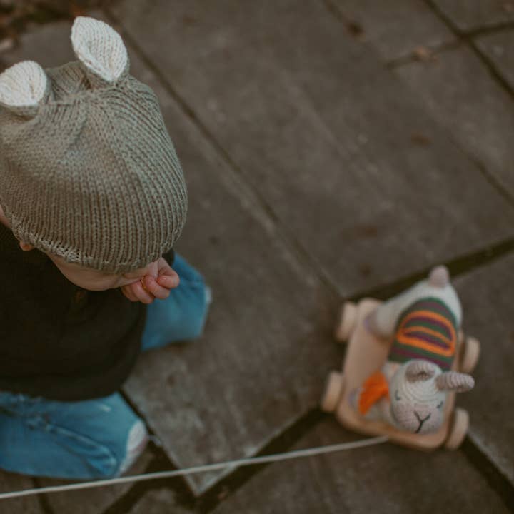 Pebblechild - Wholesale Stuffed/Plush Toy - Kids & Baby - Crochet Baby Toy pull along - llamas natural9