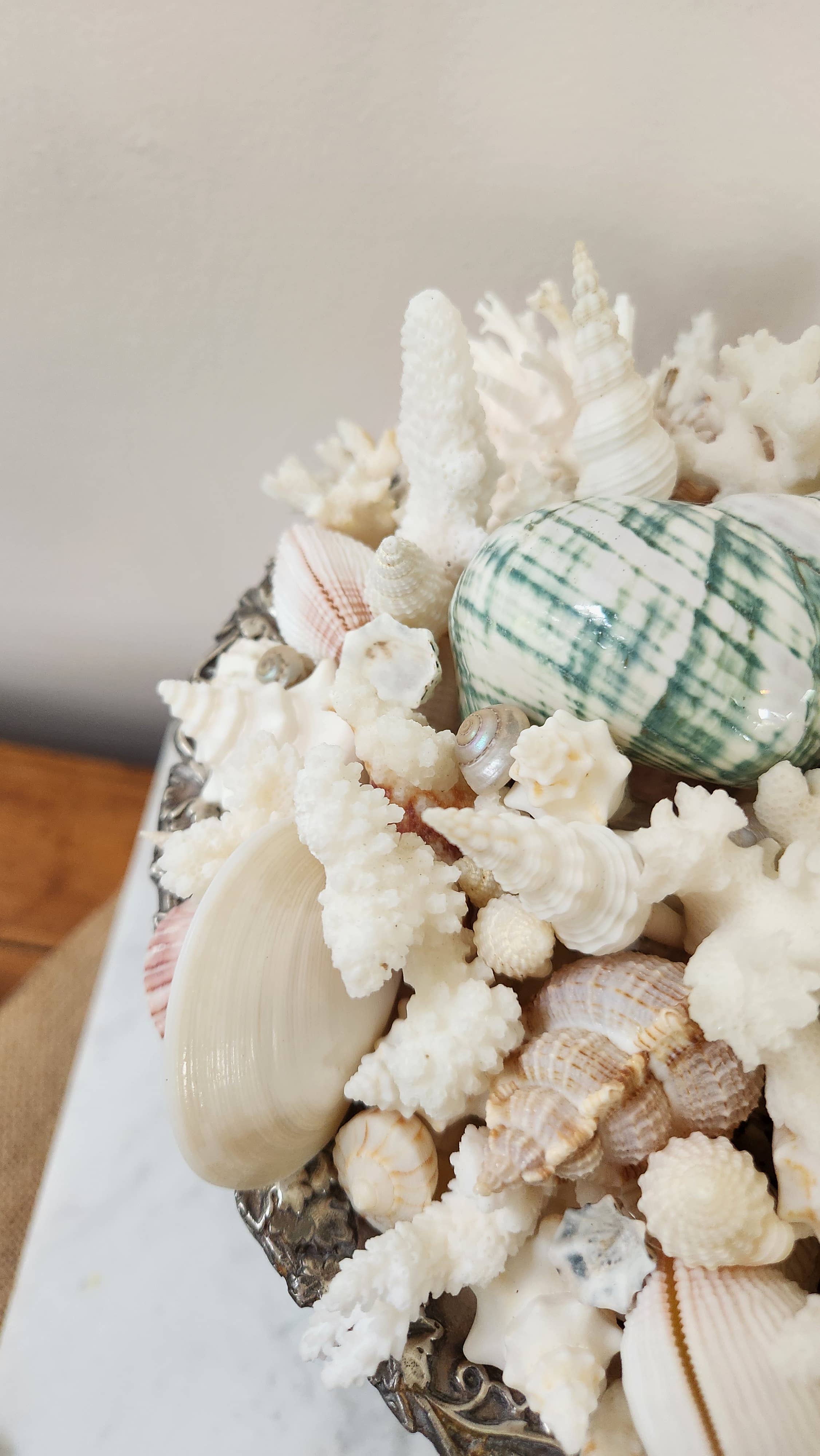 White Tulip Boutique - Wholesale Decorative Tabletop Object - Large Seashell n Coral Centerpiece, Table Top Decor, Topiary11