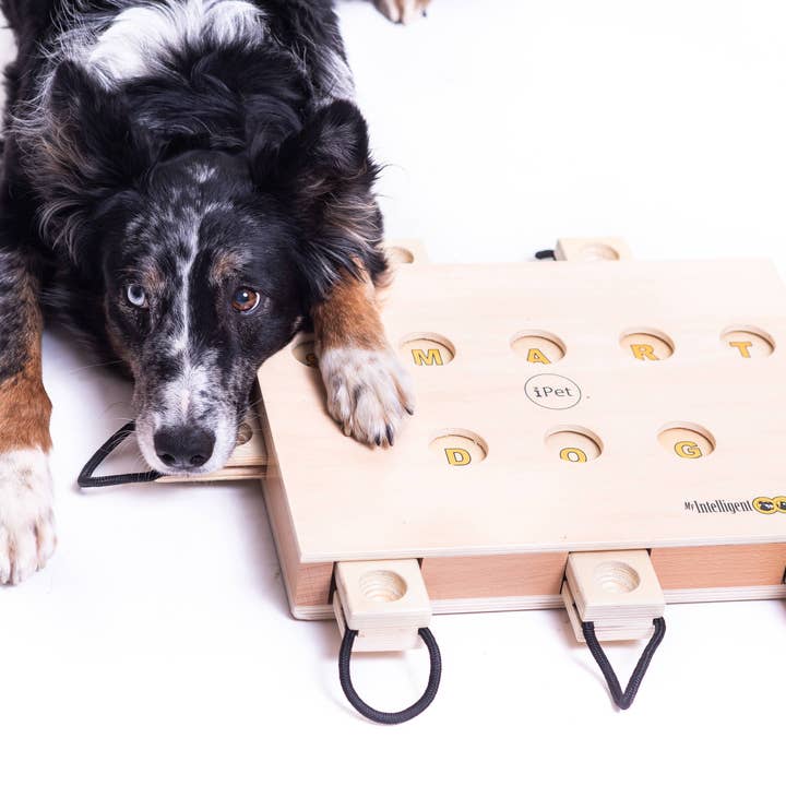 iPet - Cão Inteligente - jogo desafiador para cães (Pacote de Caso) por atacado de My Intelligent Dogs